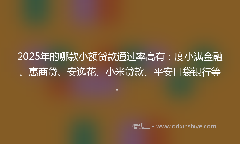 2025年的哪款小额贷款通过率高有：度小满金融、惠商贷、安逸花、小米贷款、平安口袋银行等。