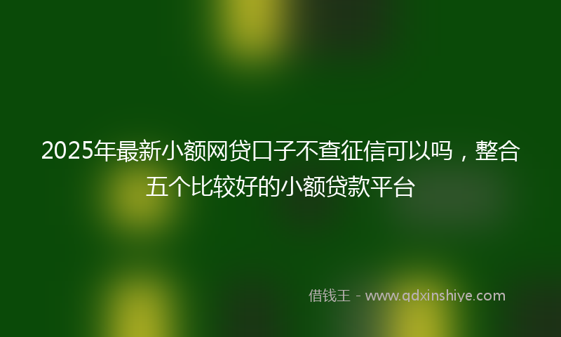 2025年最新小额网贷口子不查征信可以吗，整合五个比较好的小额贷款平台