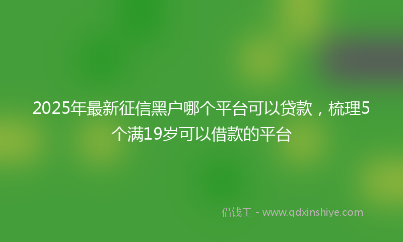 2025年最新征信黑户哪个平台可以贷款，梳理5个满19岁可以借款的平台