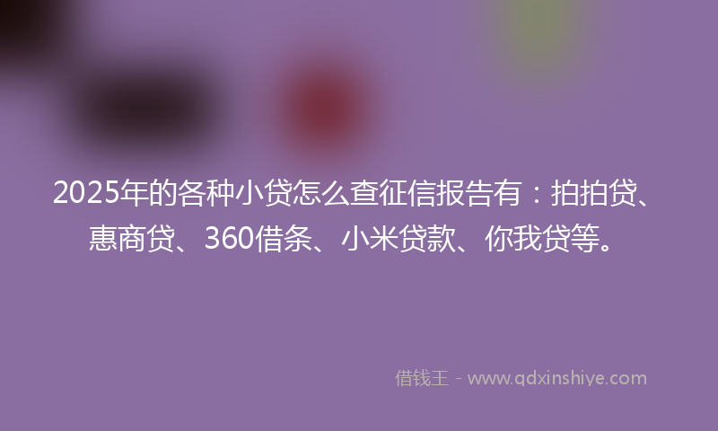 2025年的各种小贷怎么查征信报告有：拍拍贷、惠商贷、360借条、小米贷款、你我贷等。
