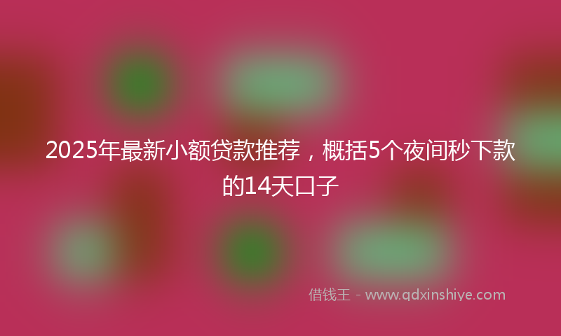 2025年最新小额贷款推荐，概括5个夜间秒下款的14天口子