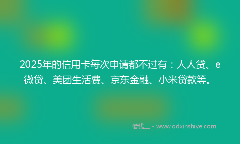 2025年的信用卡每次申请都不过有：人人贷、e微贷、美团生活费、京东金融、小米贷款等。