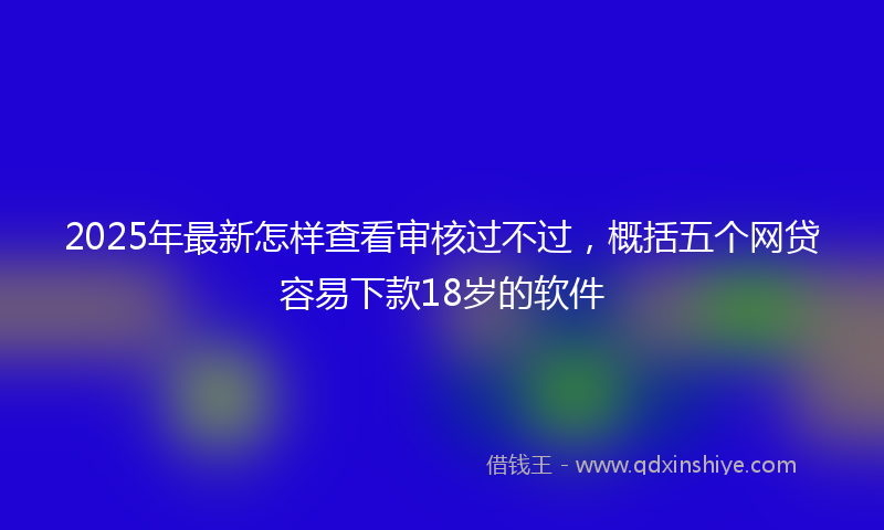 2025年最新怎样查看审核过不过，概括五个网贷容易下款18岁的软件