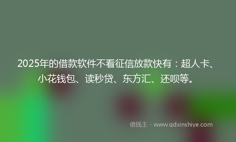 2025年的借款软件不看征信放款快有：超人卡、小花钱包、读秒贷、东方汇、还呗等。