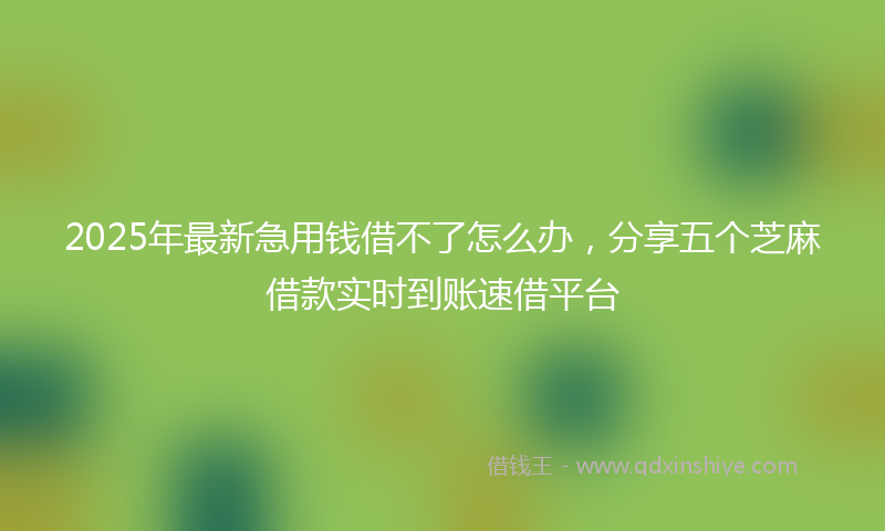 2025年最新急用钱借不了怎么办，分享五个芝麻借款实时到账速借平台