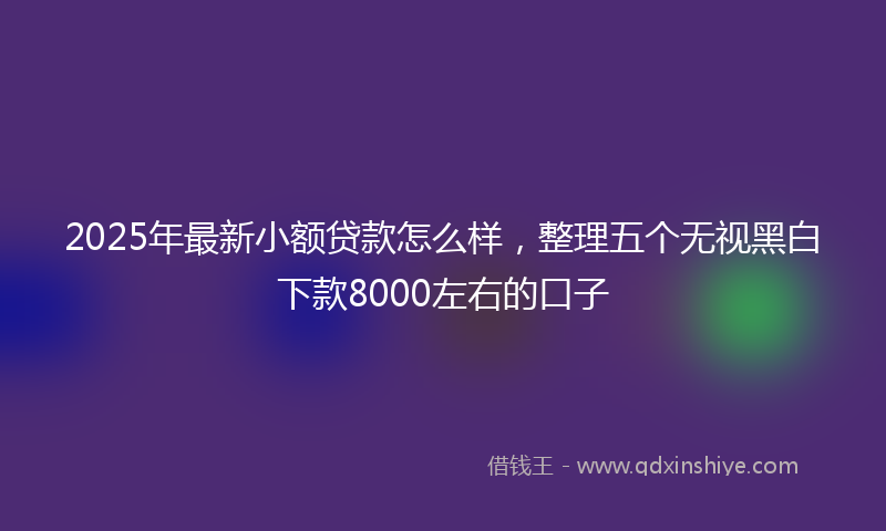 2025年最新小额贷款怎么样，整理五个无视黑白下款8000左右的口子