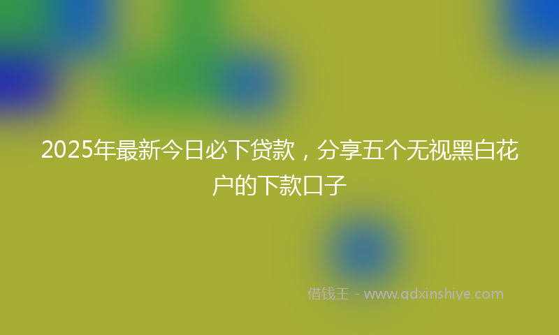 2025年最新今日必下贷款，分享五个无视黑白花户的下款口子