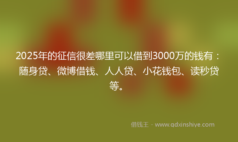 2025年的征信很差哪里可以借到3000万的钱有：随身贷、微博借钱、人人贷、小花钱包、读秒贷等。