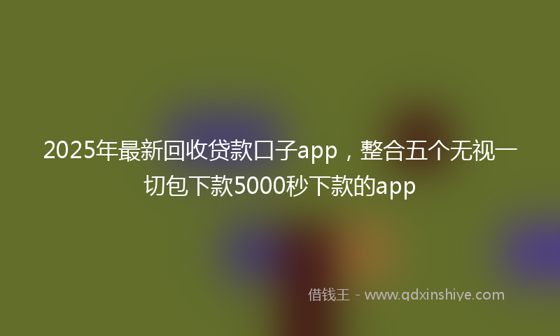 2025年最新回收贷款口子app，整合五个无视一切包下款5000秒下款的app