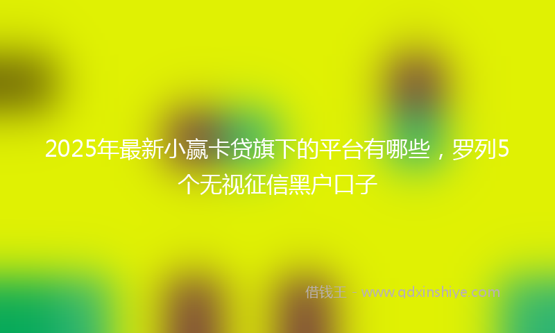 2025年最新小赢卡贷旗下的平台有哪些，罗列5个无视征信黑户口子