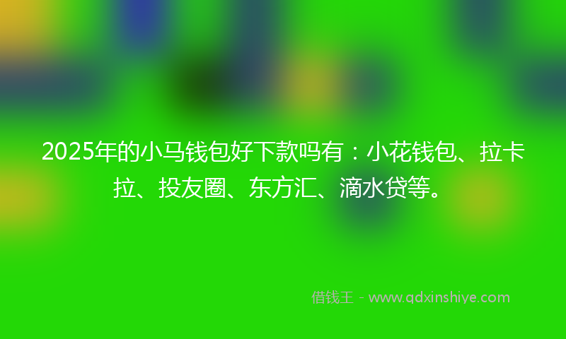 2025年的小马钱包好下款吗有：小花钱包、拉卡拉、投友圈、东方汇、滴水贷等。