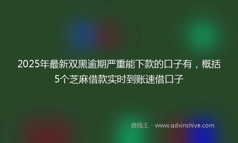 2025年最新双黑逾期严重能下款的口子有，概括5个芝麻借款实时到账速借口子