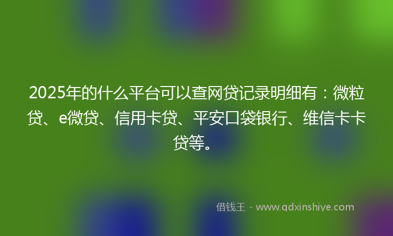 2025年的什么平台可以查网贷记录明细有：微粒贷、e微贷、信用卡贷、平安口袋银行、维信卡卡贷等。