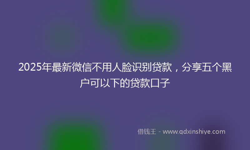 2025年最新微信不用人脸识别贷款，分享五个黑户可以下的贷款口子