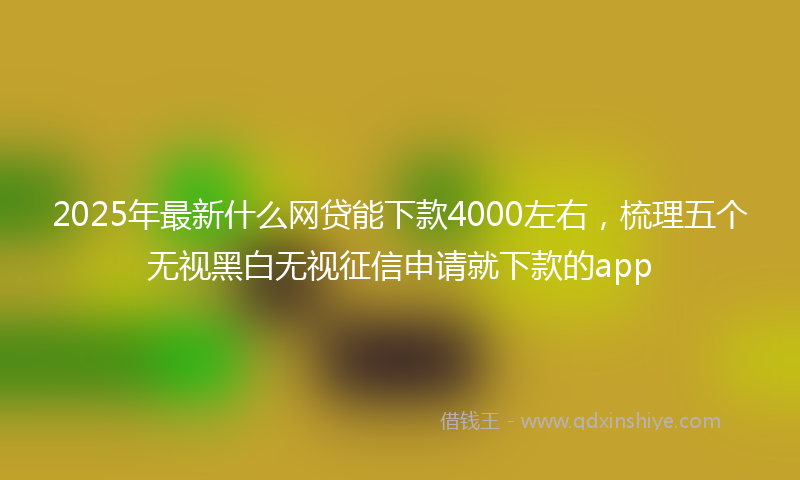 2025年最新什么网贷能下款4000左右，梳理五个无视黑白无视征信申请就下款的app
