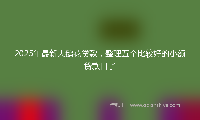2025年最新大鹅花贷款，整理五个比较好的小额贷款口子