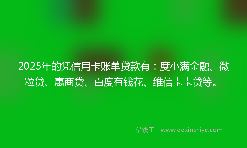 2025年的凭信用卡账单贷款有：度小满金融、微粒贷、惠商贷、百度有钱花、维信卡卡贷等。