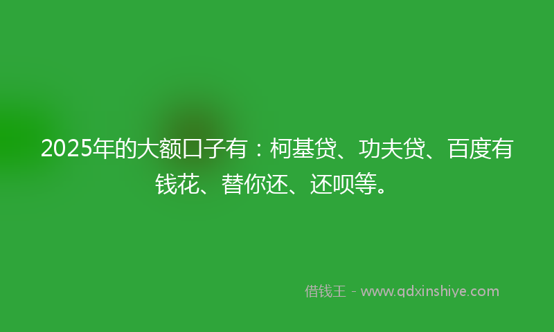 2025年的大额口子有：柯基贷、功夫贷、百度有钱花、替你还、还呗等。