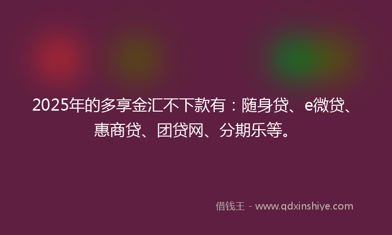 2025年的多享金汇不下款有：随身贷、e微贷、惠商贷、团贷网、分期乐等。