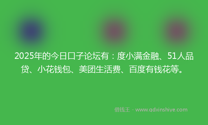 2025年的今日口子论坛有：度小满金融、51人品贷、小花钱包、美团生活费、百度有钱花等。