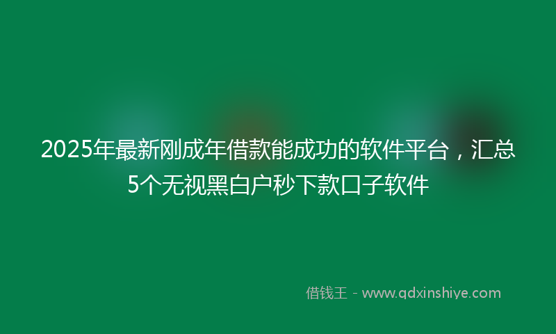 2025年最新刚成年借款能成功的软件平台，汇总5个无视黑白户秒下款口子软件