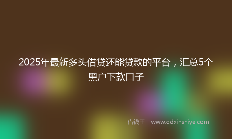 2025年最新多头借贷还能贷款的平台，汇总5个黑户下款口子
