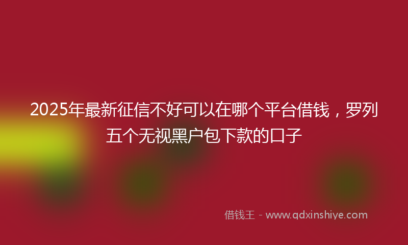 2025年最新征信不好可以在哪个平台借钱，罗列五个无视黑户包下款的口子