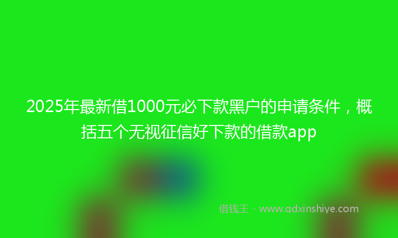 2025年最新借1000元必下款黑户的申请条件，概括五个无视征信好下款的借款app