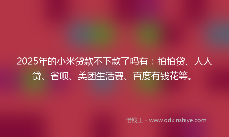 2025年的小米贷款不下款了吗有：拍拍贷、人人贷、省呗、美团生活费、百度有钱花等。