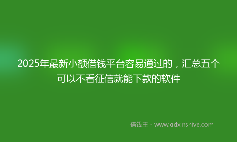 2025年最新小额借钱平台容易通过的，汇总五个可以不看征信就能下款的软件
