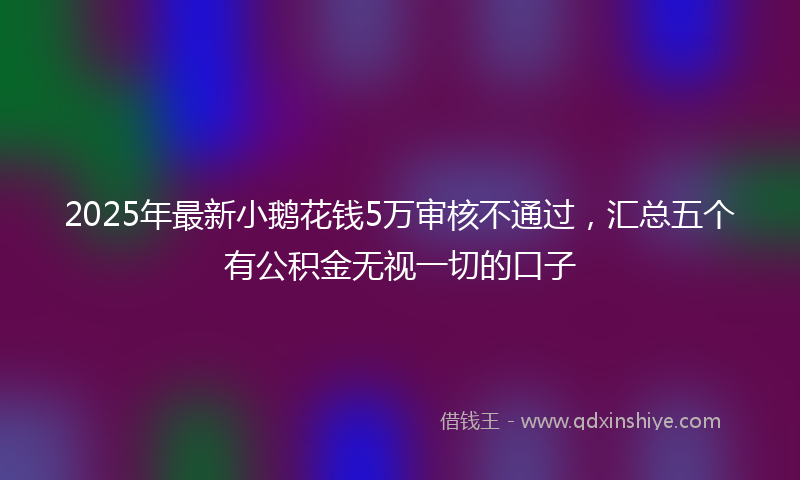 2025年最新小鹅花钱5万审核不通过，汇总五个有公积金无视一切的口子