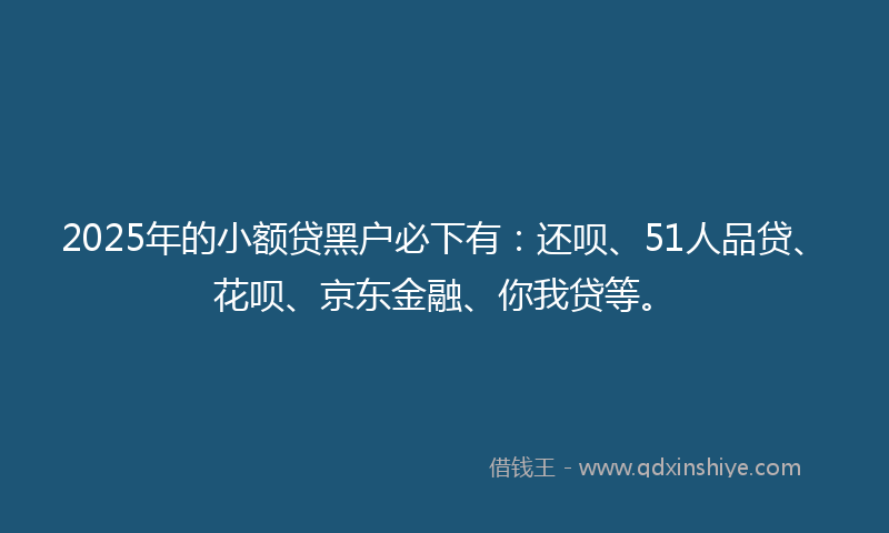 2025年的小额贷黑户必下有：还呗、51人品贷、花呗、京东金融、你我贷等。