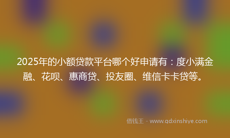 2025年的小额贷款平台哪个好申请有：度小满金融、花呗、惠商贷、投友圈、维信卡卡贷等。