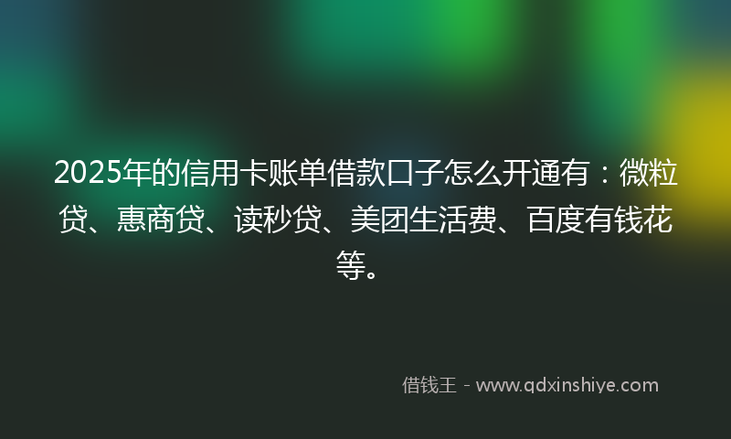 2025年的信用卡账单借款口子怎么开通有：微粒贷、惠商贷、读秒贷、美团生活费、百度有钱花等。