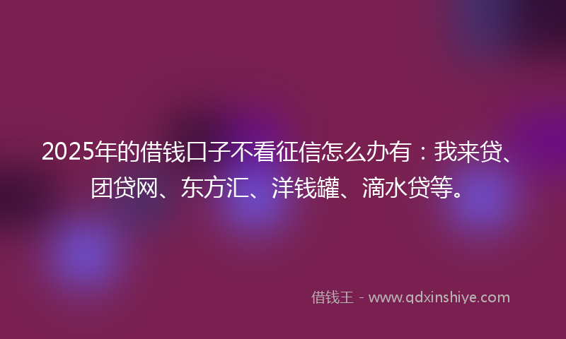 2025年的借钱口子不看征信怎么办有：我来贷、团贷网、东方汇、洋钱罐、滴水贷等。