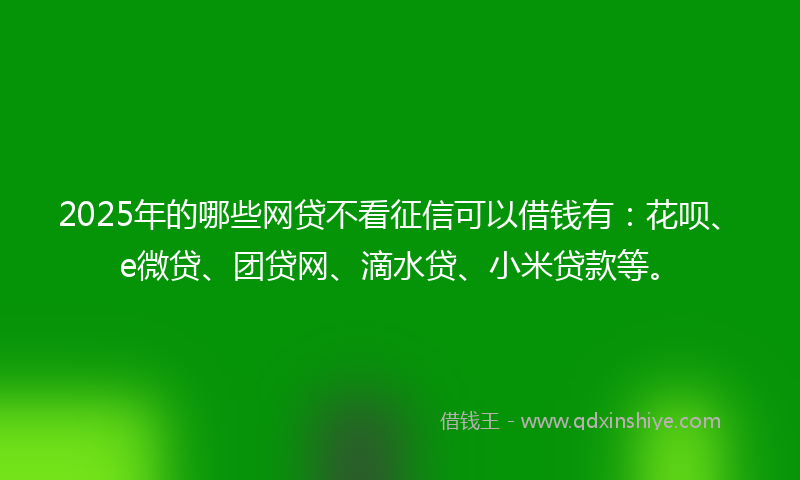 2025年的哪些网贷不看征信可以借钱有：花呗、e微贷、团贷网、滴水贷、小米贷款等。