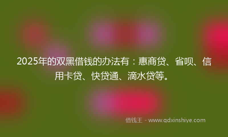 2025年的双黑借钱的办法有：惠商贷、省呗、信用卡贷、快贷通、滴水贷等。