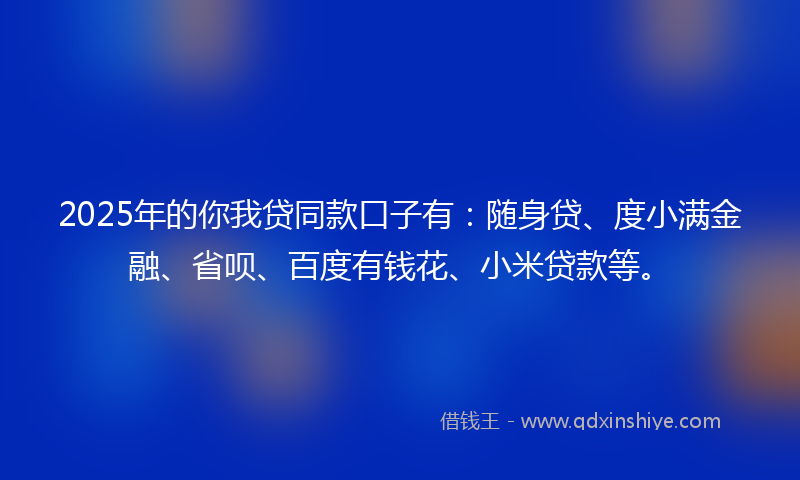 2025年的你我贷同款口子有：随身贷、度小满金融、省呗、百度有钱花、小米贷款等。