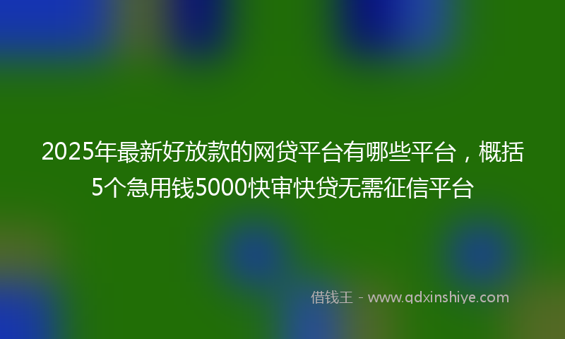 2025年最新好放款的网贷平台有哪些平台，概括5个急用钱5000快审快贷无需征信平台