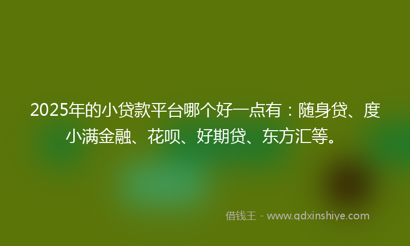 2025年的小贷款平台哪个好一点有：随身贷、度小满金融、花呗、好期贷、东方汇等。