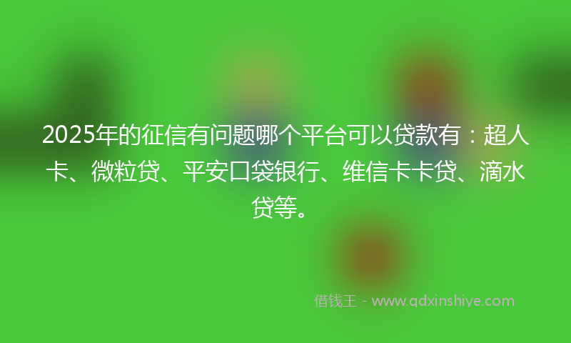 2025年的征信有问题哪个平台可以贷款有：超人卡、微粒贷、平安口袋银行、维信卡卡贷、滴水贷等。