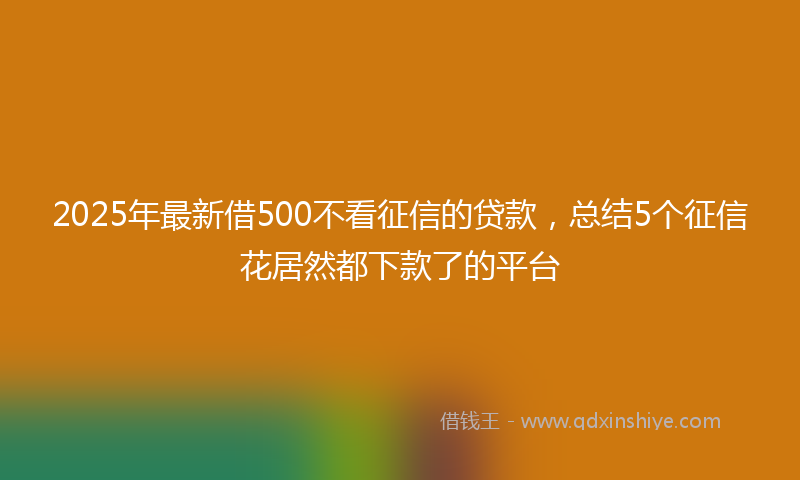 2025年最新借500不看征信的贷款，总结5个征信花居然都下款了的平台