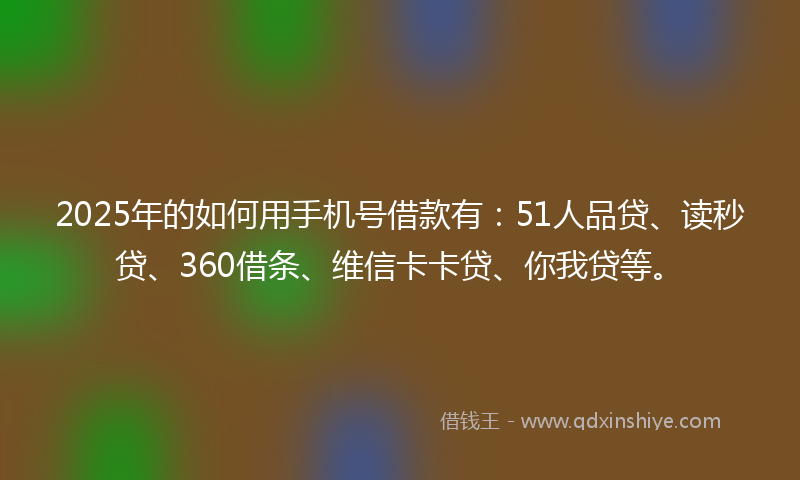 2025年的如何用手机号借款有：51人品贷、读秒贷、360借条、维信卡卡贷、你我贷等。