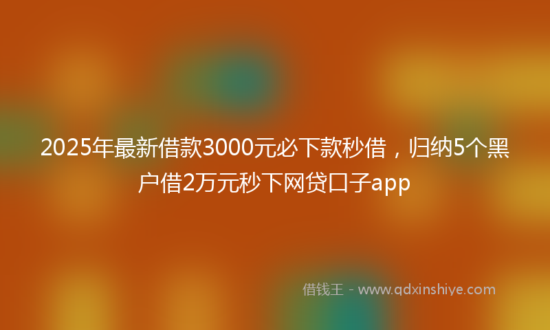 2025年最新借款3000元必下款秒借，归纳5个黑户借2万元秒下网贷口子app