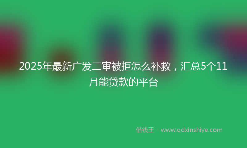 2025年最新广发二审被拒怎么补救，汇总5个11月能贷款的平台