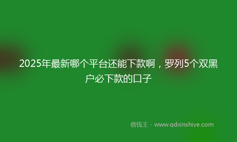 2025年最新哪个平台还能下款啊，罗列5个双黑户必下款的口子