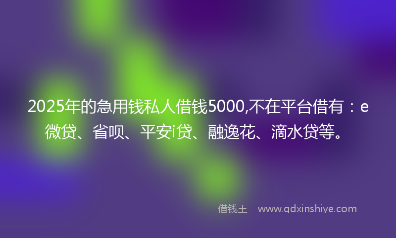 2025年的急用钱私人借钱5000,不在平台借有：e微贷、省呗、平安i贷、融逸花、滴水贷等。