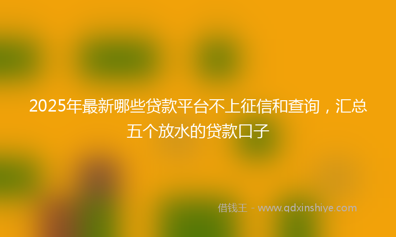 2025年最新哪些贷款平台不上征信和查询，汇总五个放水的贷款口子