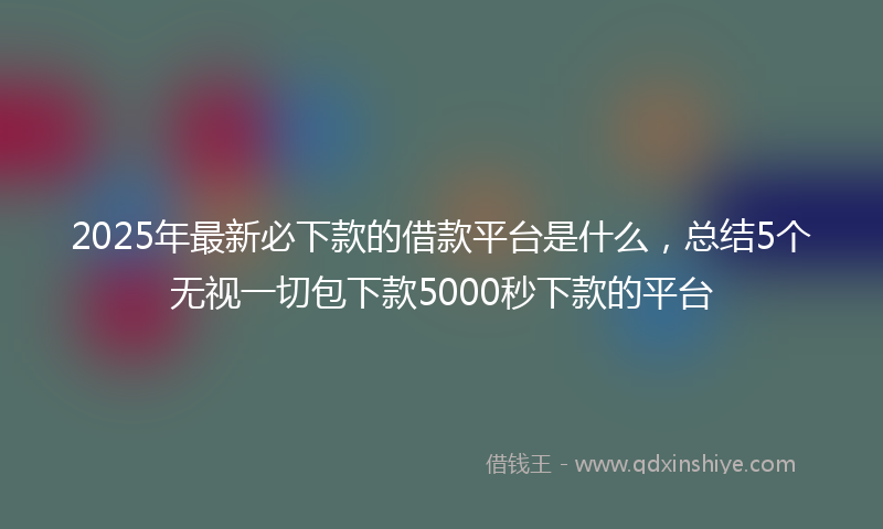 2025年最新必下款的借款平台是什么，总结5个无视一切包下款5000秒下款的平台
