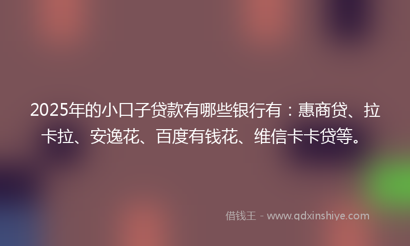2025年的小口子贷款有哪些银行有：惠商贷、拉卡拉、安逸花、百度有钱花、维信卡卡贷等。